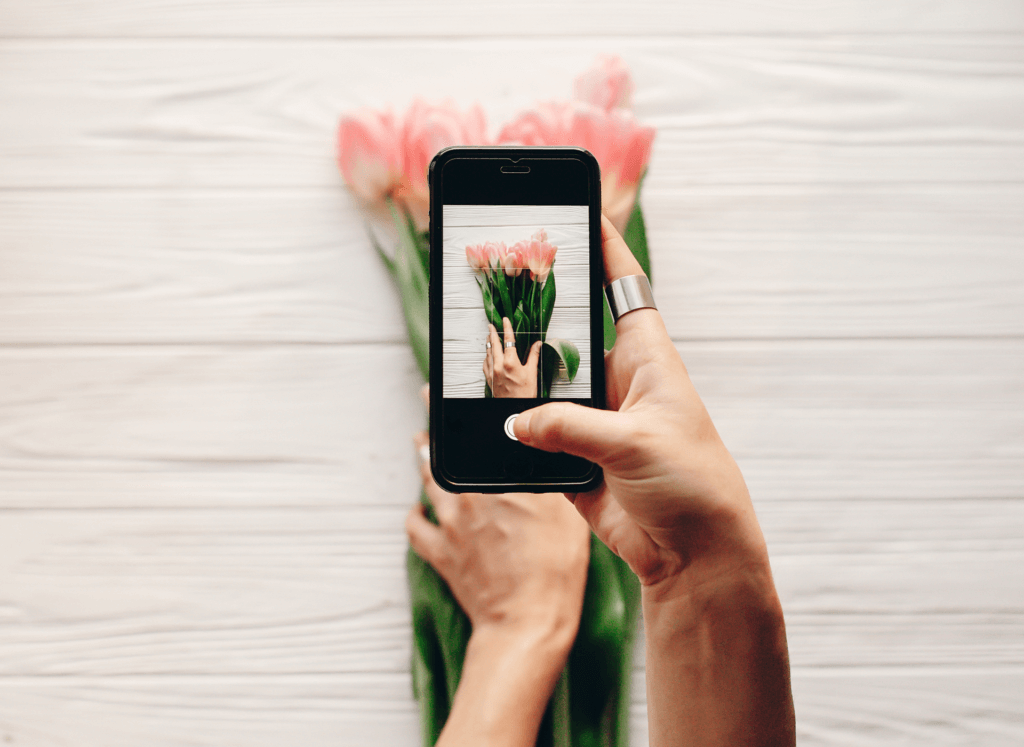 tirando foto de uma flor com o celular