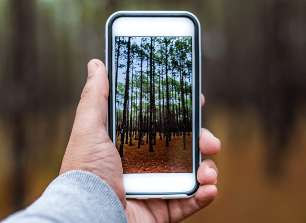 smartphone mostrando uma foto de paisagem